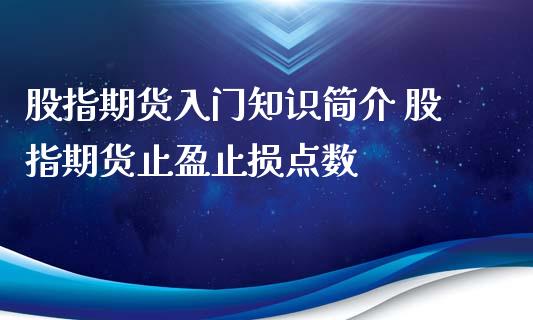 股指期货入门知识简介 股指期货止盈止损点数_https://www.xyskdbj.com_期货平台_第1张