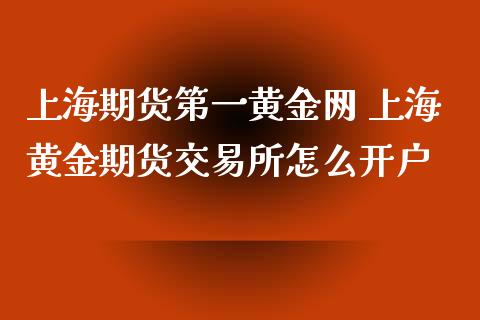 上海期货第一黄金网 上海黄金期货交易所怎么开户_https://www.xyskdbj.com_原油直播_第1张