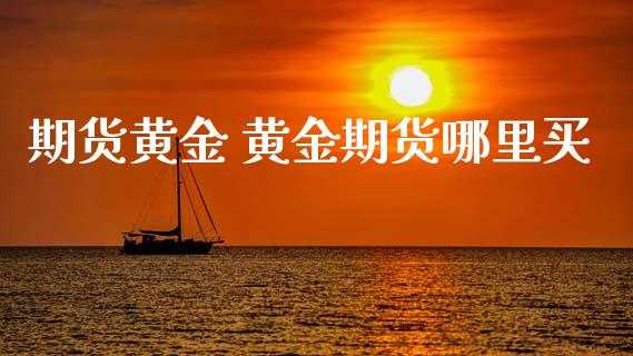 期货黄金 黄金期货哪里买_https://www.xyskdbj.com_原油直播_第1张