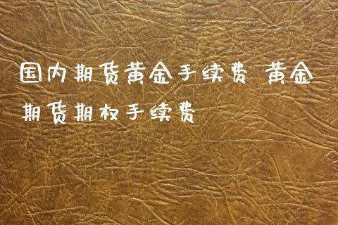 国内期货黄金手续费 黄金期货期权手续费_https://www.xyskdbj.com_期货学院_第1张