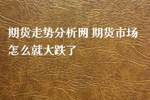 期货走势分析网 期货市场怎么就大跌了_https://www.xyskdbj.com_期货学院_第1张