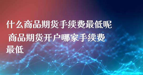 什么商品期货手续费最低呢 商品期货开户哪家手续费最低_https://www.xyskdbj.com_原油行情_第1张