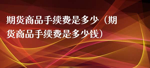 期货商品手续费是多少（期货商品手续费是多少钱）_https://www.xyskdbj.com_期货手续费_第1张