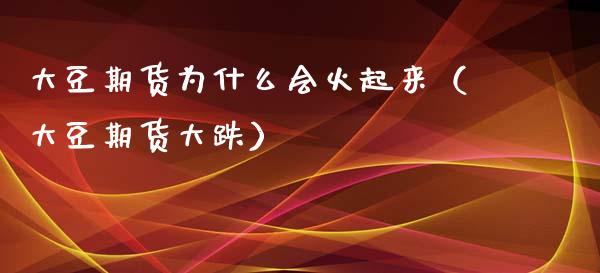 大豆期货为什么会火起来（大豆期货大跌）_https://www.xyskdbj.com_原油行情_第1张