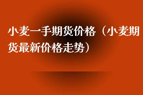 小麦一手期货价格（小麦期货最新价格走势）_https://www.xyskdbj.com_原油直播_第1张