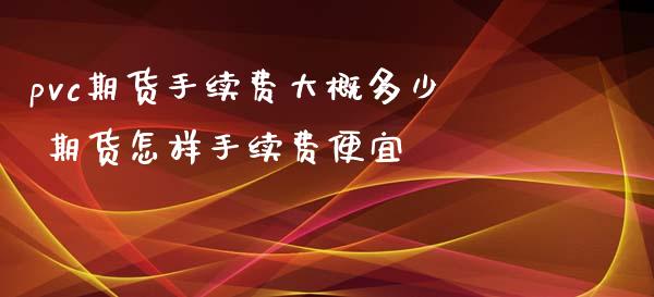 pvc期货手续费大概多少 期货怎样手续费便宜_https://www.xyskdbj.com_期货行情_第1张