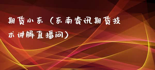 期货小东（东南资讯期货技术讲解直播间）_https://www.xyskdbj.com_期货学院_第1张